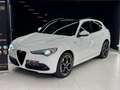 Alfa Romeo Stelvio Stelvio 2.2 Turbodiesel 210 CV AT8 Q4 Veloce Blanc - thumbnail 6