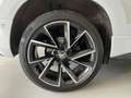 Skoda Karoq Sportline 4x4 DSG Wit - thumbnail 37
