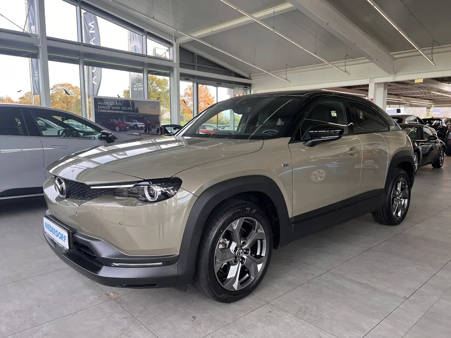 Mazda MX-30 EV Makoto Fahrradträger-Adapter 3-phasig Beige - 1