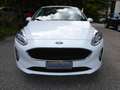 Ford Fiesta Fiesta 5p 1.5 ecoblue Business 85CV *LED*CARPLAY75 Bianco - thumbnail 2