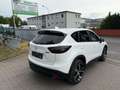 Mazda CX-5 2.2 D 175 Sports-Line AWD AT ZYLINDERKOPF Bianco - thumbnail 5