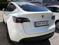 Tesla Model Y Model Y Long Range AWD 79kWh Weiß - thumbnail 3