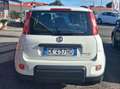 Fiat Panda Panda III 2021 1.0 firefly hybrid City Life s Bianco - thumbnail 3