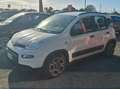 Fiat Panda Panda III 2021 1.0 firefly hybrid City Life s Bianco - thumbnail 1