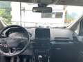 Ford EcoSport Titanium Grau - thumbnail 12