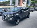 Ford EcoSport Titanium Grau - thumbnail 1