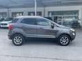 Ford EcoSport Titanium Grau - thumbnail 4