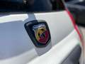 Fiat 500 1.2 8V Sport Pur O2 1,2 Ecolog Weiß - thumbnail 8