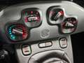 Fiat Panda Fiat MY22 Hybrid 1.0 GSE DAB GA Klima BT teilb.Rüc Grau - thumbnail 21