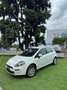 Fiat Punto Evo 5p 1.4 natural power Active 70cv Bianco - thumbnail 2