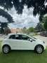 Fiat Punto Evo 5p 1.4 natural power Active 70cv Blanc - thumbnail 7