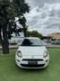 Fiat Punto Evo 5p 1.4 natural power Active 70cv Blanc - thumbnail 1