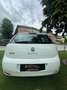 Fiat Punto Evo 5p 1.4 natural power Active 70cv Blanc - thumbnail 5