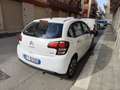 Citroen C3 1.0 68cv 2014 CINGHIA SOSTITUITA - thumbnail 8