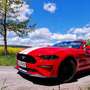 Ford Mustang Convertible 5.0 Ti-VCT V8 Aut. GT - thumbnail 1