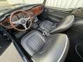 Triumph TR4 A IRS - Fully restaured Blau - thumbnail 11