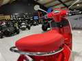 Vespa Primavera 50 RED classe B 45 Km/h Rood - thumbnail 5