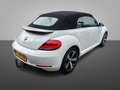 Volkswagen Beetle Cabriolet 1.2 TSI Exclusive Series | CRUISE CONTRO Weiß - thumbnail 4