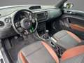 Volkswagen Beetle Cabriolet 1.2 TSI Exclusive Series | CRUISE CONTRO Weiß - thumbnail 9