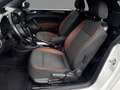 Volkswagen Beetle Cabriolet 1.2 TSI Exclusive Series | CRUISE CONTRO Weiß - thumbnail 8