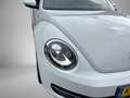 Volkswagen Beetle Cabriolet 1.2 TSI Exclusive Series | CRUISE CONTRO Weiß - thumbnail 11