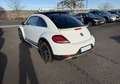 Volkswagen Coccinelle 1.4 TSI 150CH BLUEMOTION TECHNOLOGY DUNE Weiß - thumbnail 6