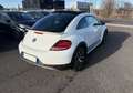 Volkswagen Coccinelle 1.4 TSI 150CH BLUEMOTION TECHNOLOGY DUNE Weiß - thumbnail 4
