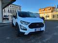 Ford EcoSport 1.0 ECOBOOST 125 CV ACTIVE *PREZZO REALE* Weiß - thumbnail 8