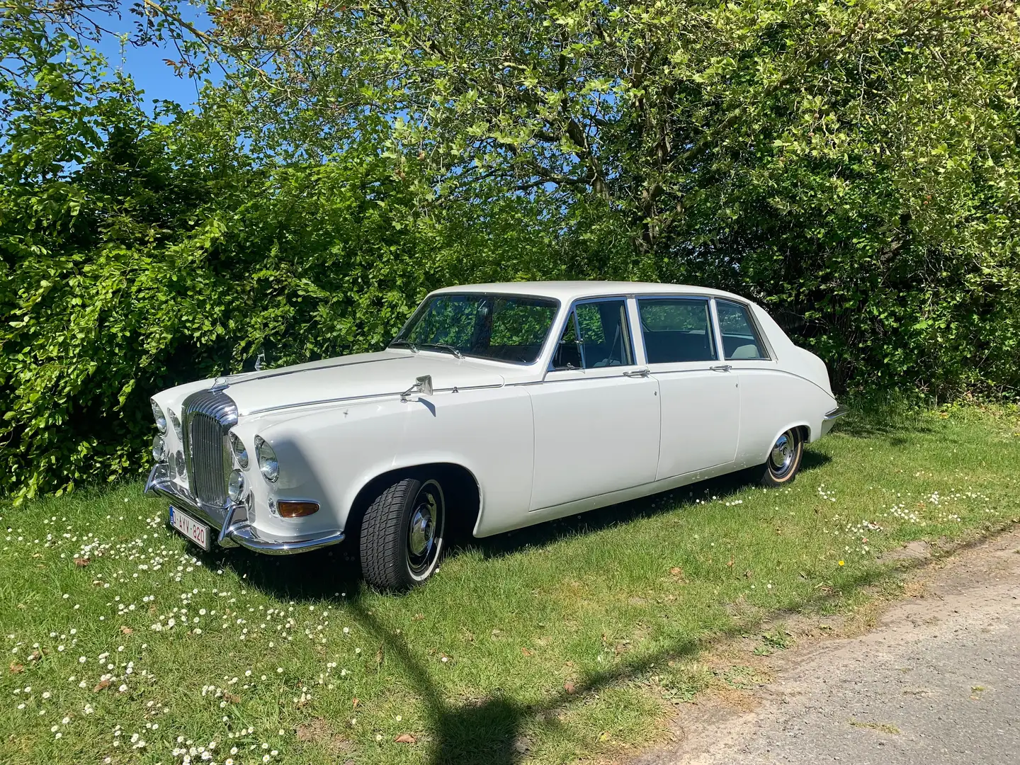 Daimler Sonstige DS420 Limousine Weiß - 1