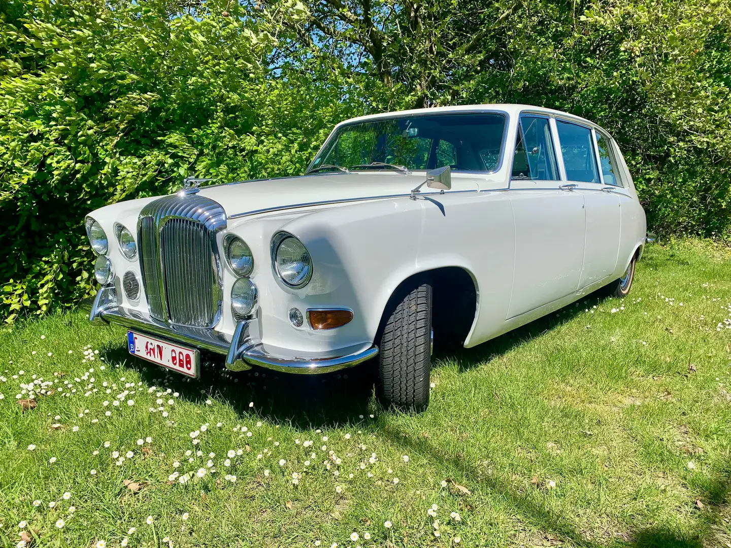 Daimler Sonstige DS420 Limousine Weiß - 2