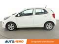 Kia Picanto 1.0 Edition 7*SHZ*KLIMA* Weiß - thumbnail 3
