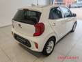 Kia Picanto Dream Team 1.0L Navi-Paket Blanc - thumbnail 4