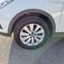 SEAT Arona Arona 1.0 ecotsi Style 95 CV Bianco - thumbnail 12