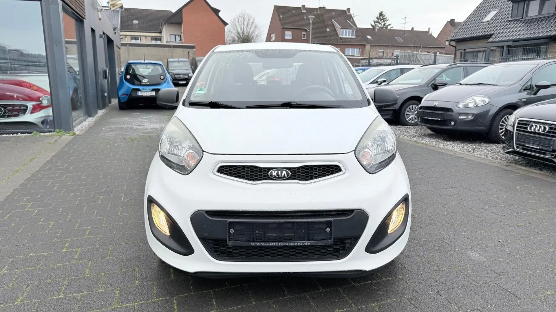 Kia Picanto Business Line Weiß - 2