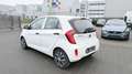 Kia Picanto Business Line Weiß - thumbnail 6