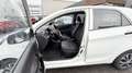 Kia Picanto Business Line Weiß - thumbnail 7