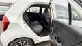 Kia Picanto Business Line Weiß - thumbnail 9