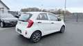 Kia Picanto Business Line Weiß - thumbnail 4