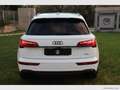 Audi Q5 40 TDI 204CV qu. S tr. Identity Black S-LINE Bianco - thumbnail 5