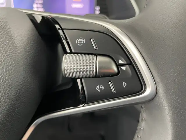 Skoda Octavia view 15