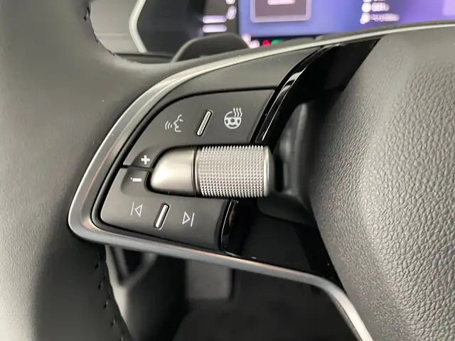 Skoda Octavia view 14