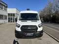 Ford Transit Kasten 2,0 EcoBlue L2H2 310 Trend Alb - thumbnail 1