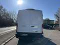 Ford Transit Kasten 2,0 EcoBlue L2H2 310 Trend Alb - thumbnail 5