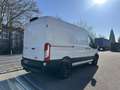 Ford Transit Kasten 2,0 EcoBlue L2H2 310 Trend Alb - thumbnail 4