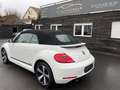 Volkswagen Beetle 1.2 TSI Cabriolet CUP Design BMT SZHZ*AHK Blanc - thumbnail 4