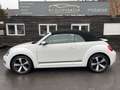Volkswagen Beetle 1.2 TSI Cabriolet CUP Design BMT SZHZ*AHK Blanc - thumbnail 3