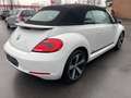 Volkswagen Beetle 1.2 TSI Cabriolet CUP Design BMT SZHZ*AHK Blanc - thumbnail 7