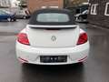 Volkswagen Beetle 1.2 TSI Cabriolet CUP Design BMT SZHZ*AHK Blanc - thumbnail 5