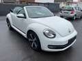 Volkswagen Beetle 1.2 TSI Cabriolet CUP Design BMT SZHZ*AHK Blanc - thumbnail 10