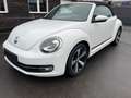 Volkswagen Beetle 1.2 TSI Cabriolet CUP Design BMT SZHZ*AHK Blanc - thumbnail 1